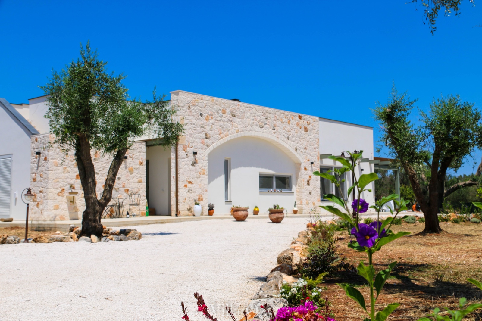 Villa Ozy, white-and-stone façade framed by olive trees and bougainvillea under a deep blue Puglia sky